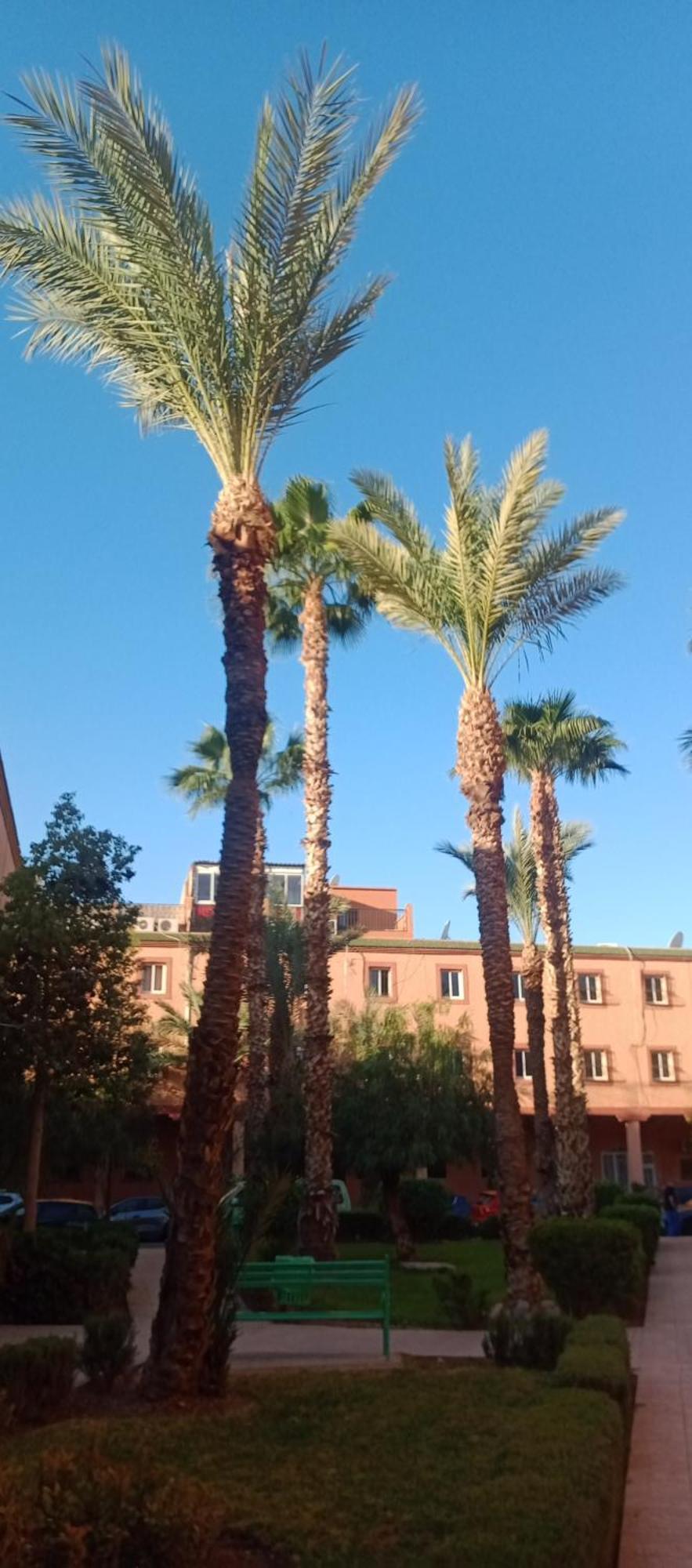 Riad Al-Bushra Marakéš Exteriér fotografie